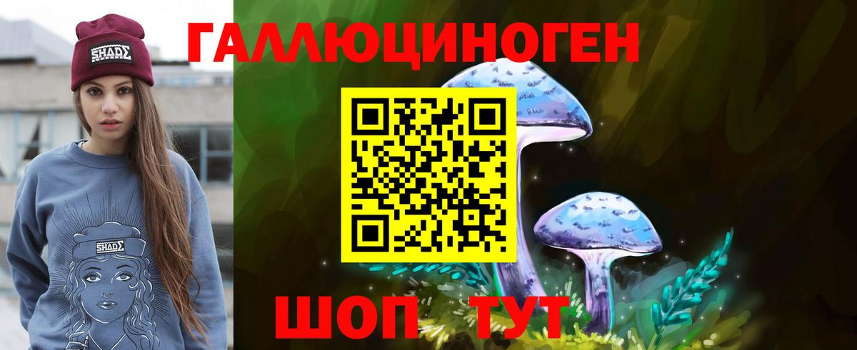 Псилоцибиновые грибы Magic Shrooms Краснодар