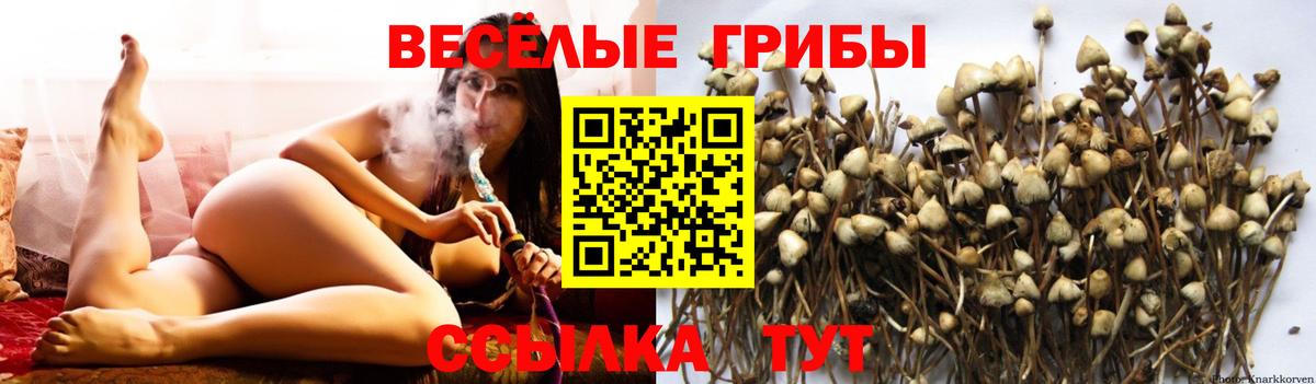 Галлюциногенные грибы ЛСД  Вход с VPN  Краснодар 